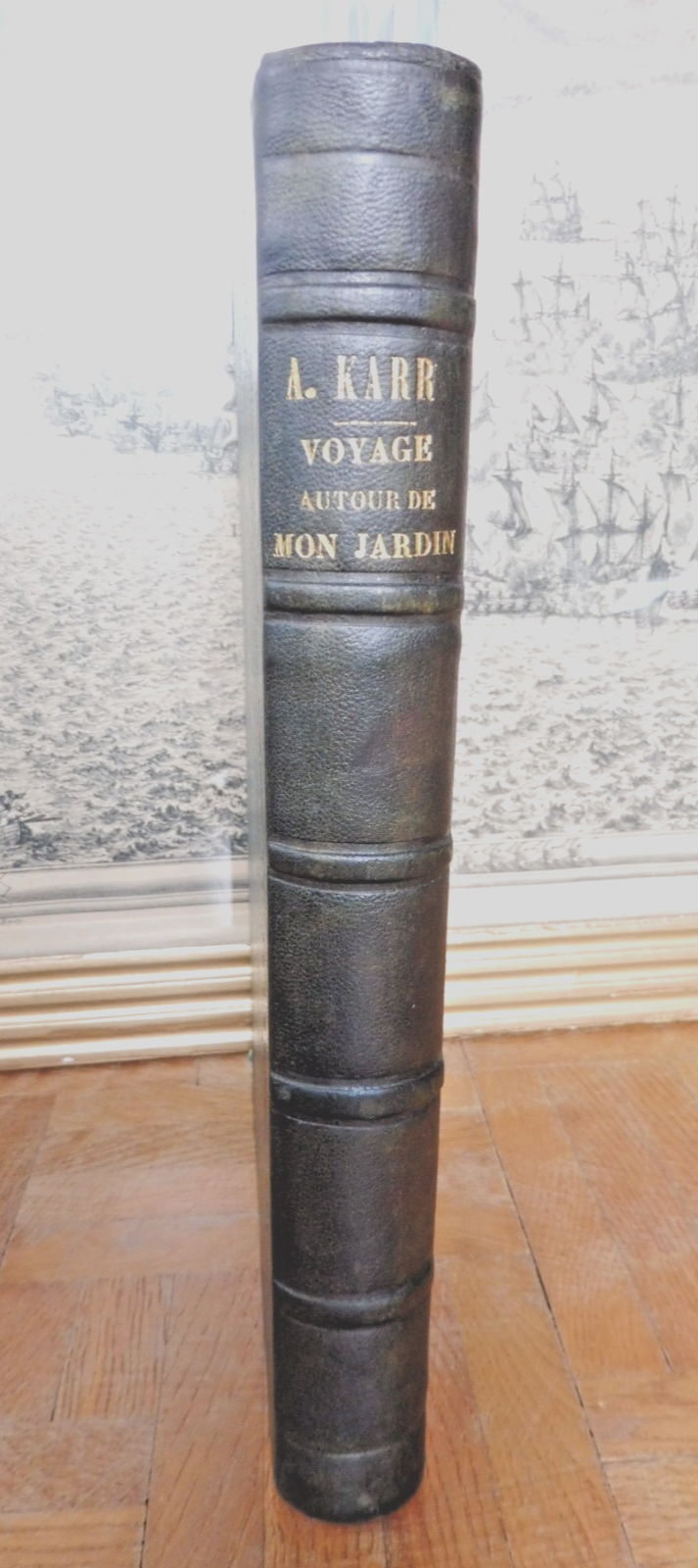 Voyage autour de mon jardin (Alphonse Karr) 1851 illus. Gavarni... BOTANIQUE