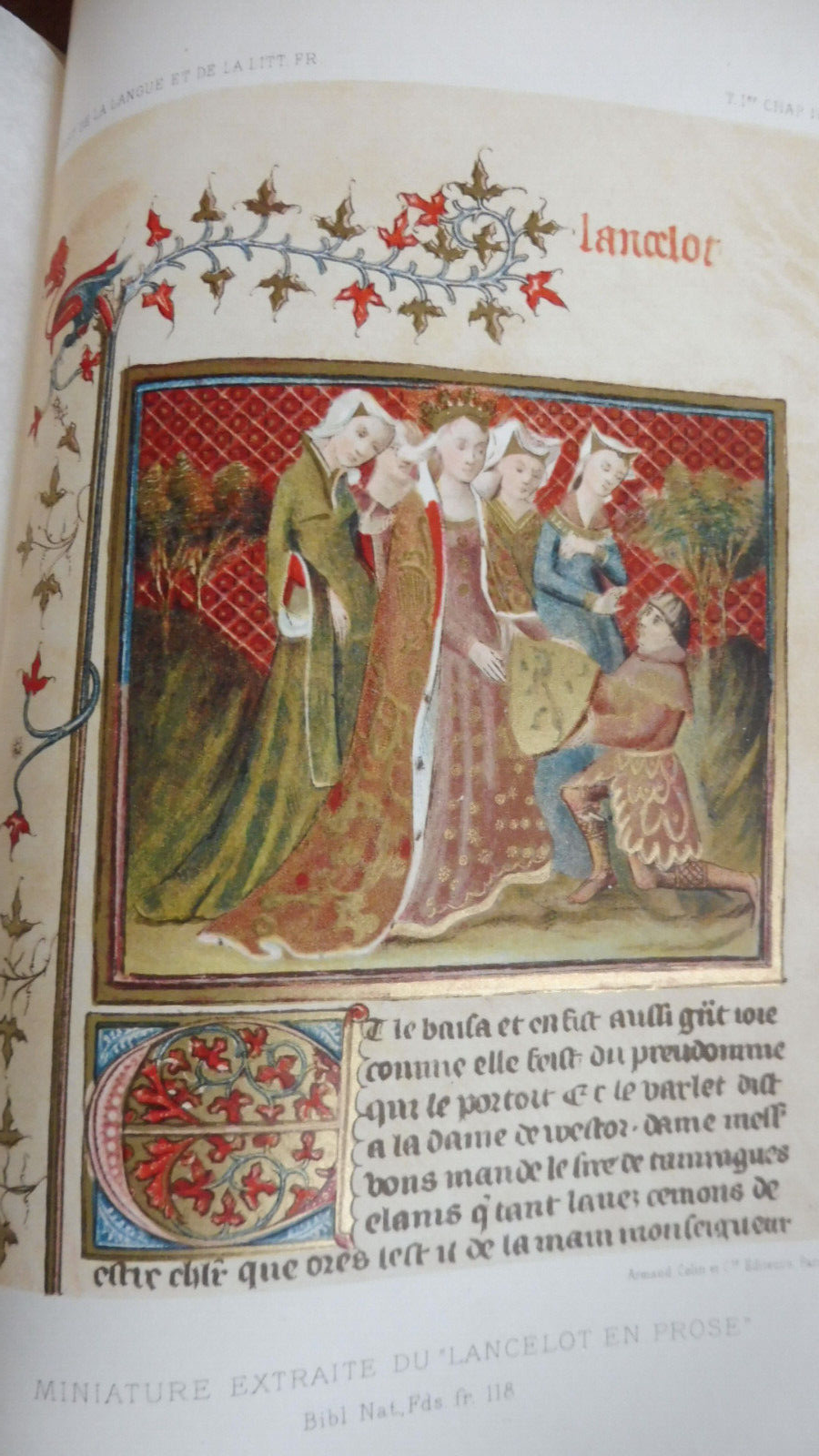 Histoire de la langue et de la littérature Française (Petit de Julleville) 1896