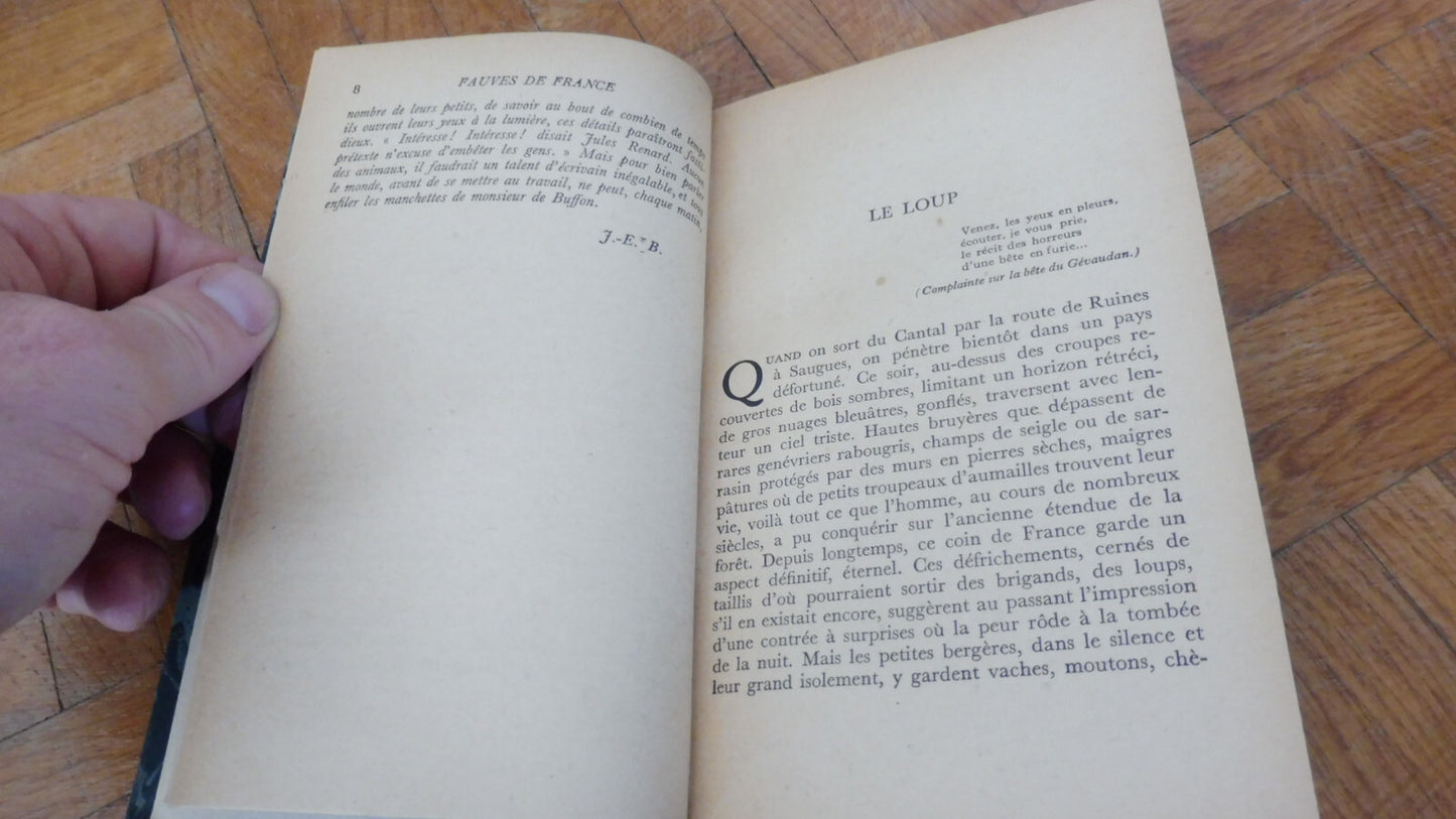 Fauves de France (Jean-Emile Bénech) 1946 ZOOLOGIE