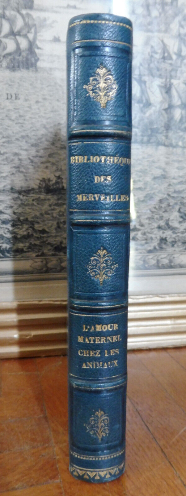 L'Amour maternel chez les animaux (Ernest Menault) 1874