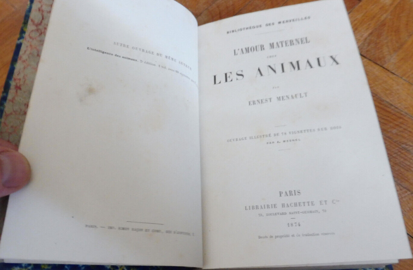 L'Amour maternel chez les animaux (Ernest Menault) 1874