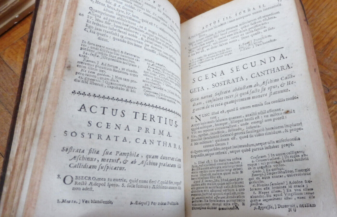 Publii Terentii comediae expurgatae 1717