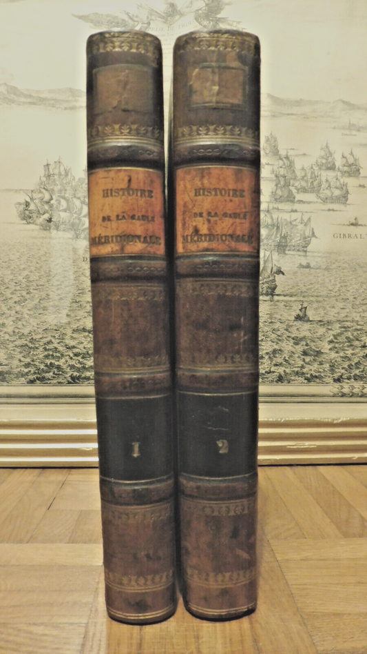 Histoire pittoresque de la Gaule Méridionale (Cénac-Moncaut) 1848 2/2