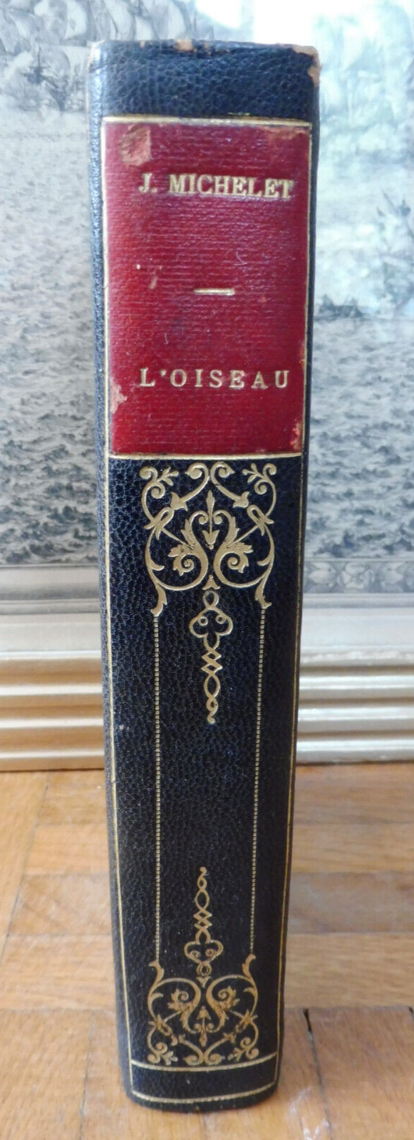 L'Oiseau (Jules Michelet) 1908 ZOOLOGIE