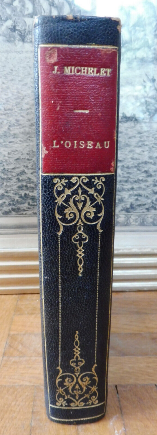 L'Oiseau (Jules Michelet) 1908 ZOOLOGIE