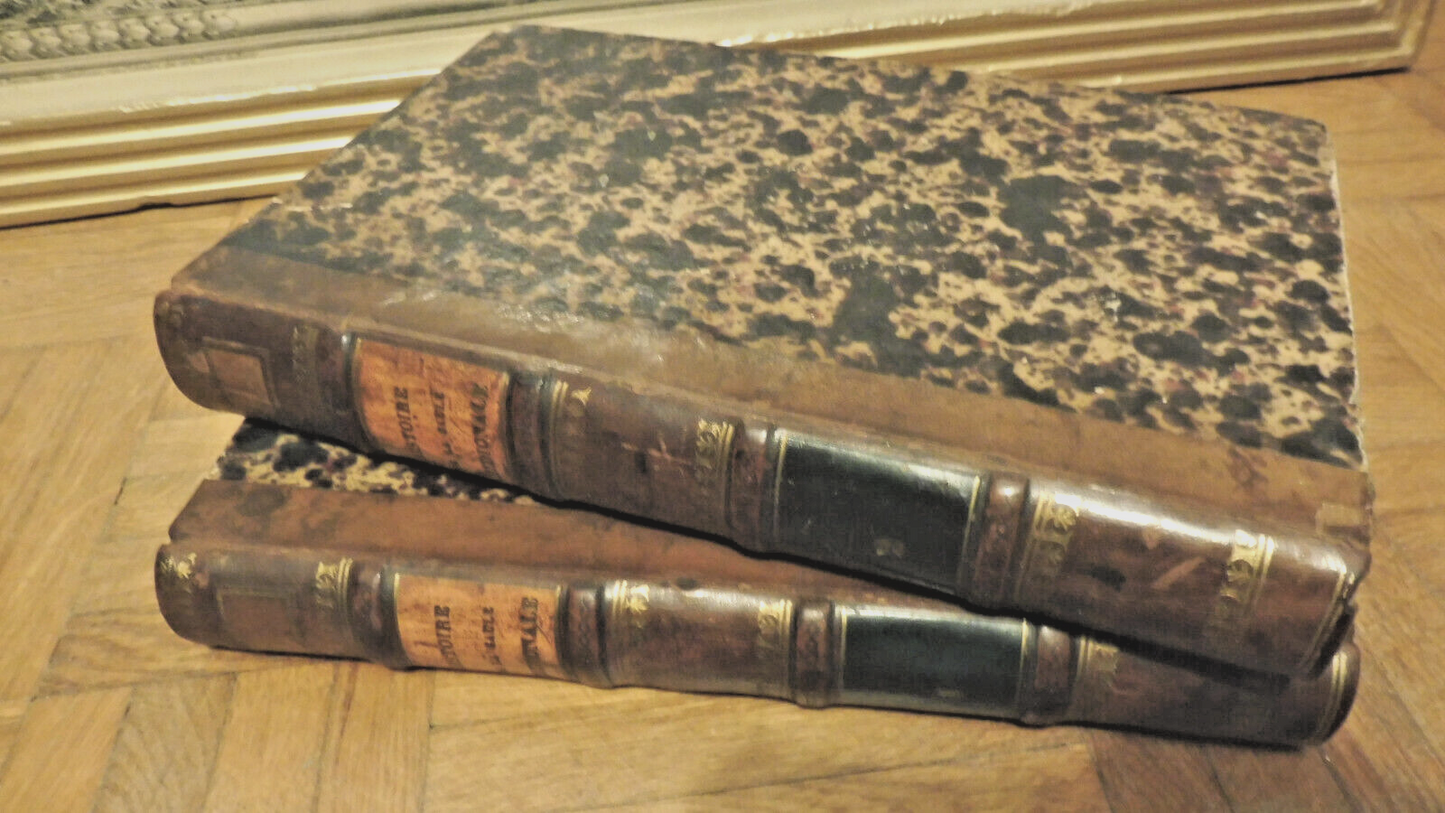 Histoire pittoresque de la Gaule Méridionale (Cénac-Moncaut) 1848 2/2