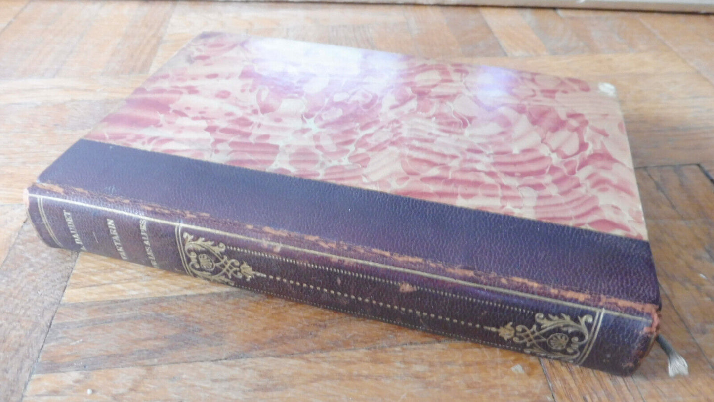 Tartarin sur les Alpes (A. Daudet) 1909 illus. Rossi, Myrbach, Aranda...