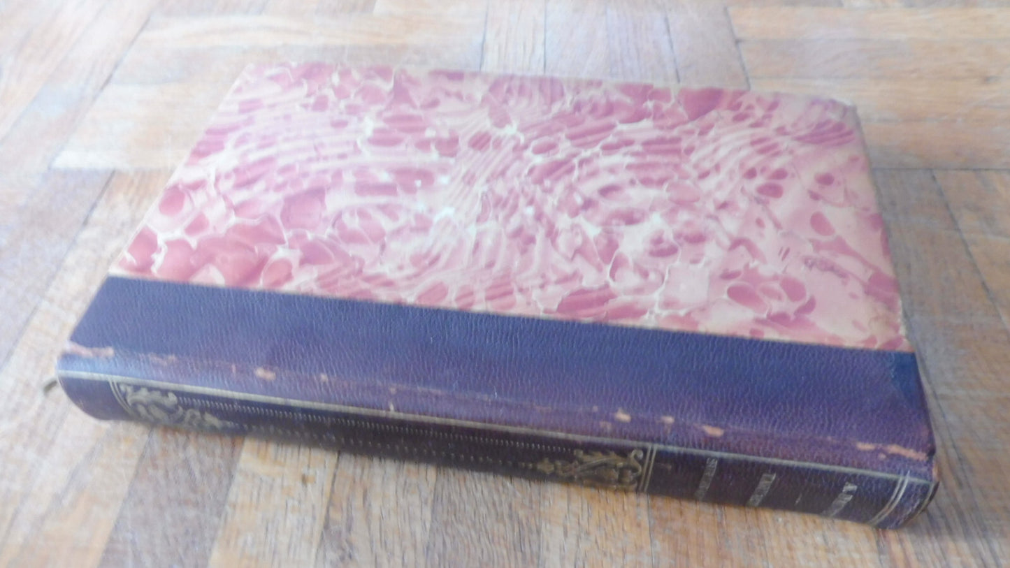 Tartarin sur les Alpes (A. Daudet) 1909 illus. Rossi, Myrbach, Aranda...