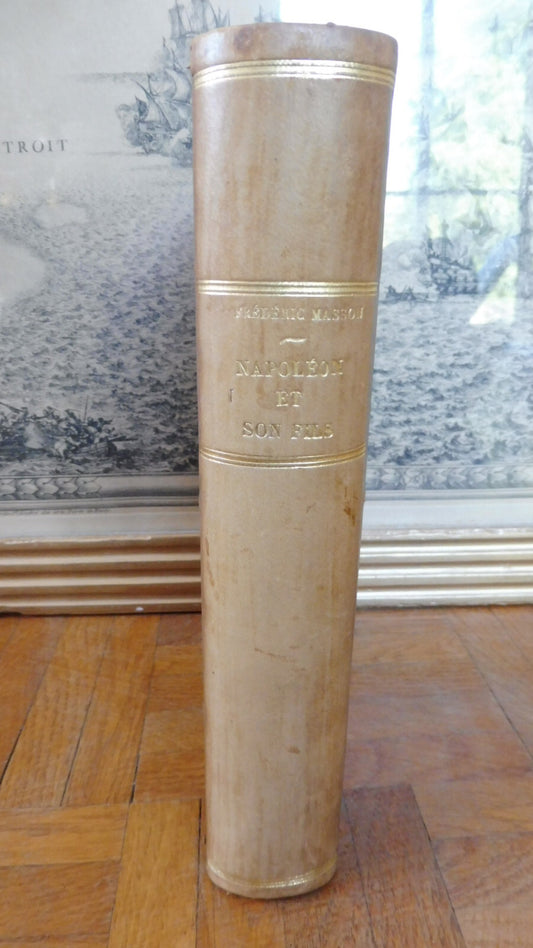 Napoléon et son fils (Frédéric Masson) 1904