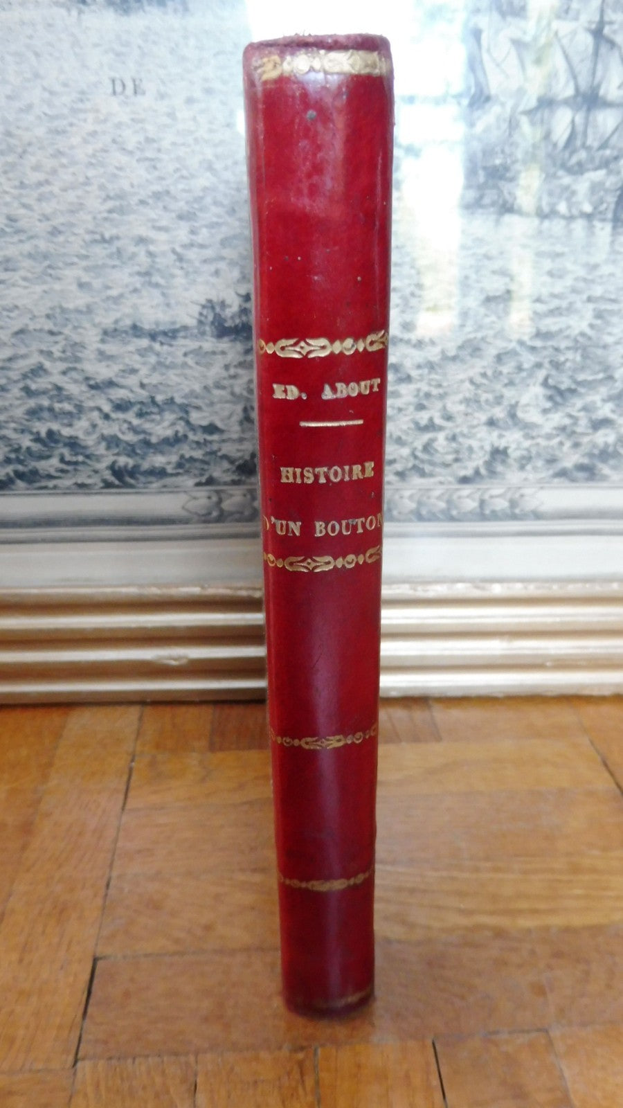 Histoire d'un bouton (Piotre Artamov, Edmond About) 1863