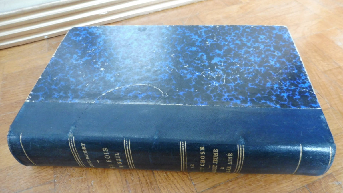 Les Rois en exil. Le petit chose. Fromont jeune et Risler (Alphonse Daudet) s.d.