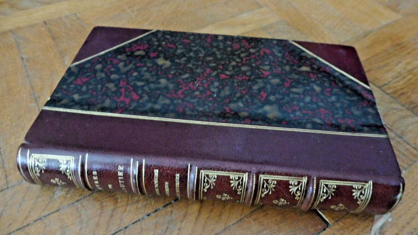 Premières poésies. Albertus. Poésies diverses (Théophile Gautier) 1890