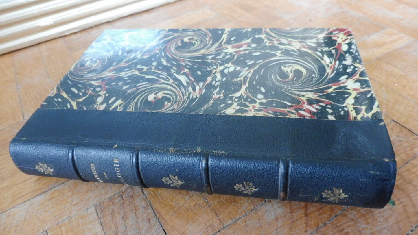 Eléments de géologie (A. Leymerie) 1878 PALEONTOLOGIE