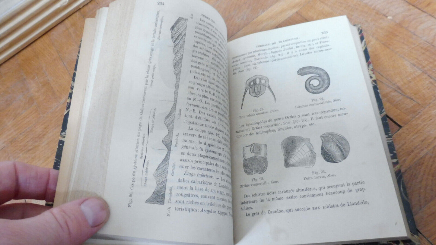 Eléments de géologie (A. Leymerie) 1878 PALEONTOLOGIE