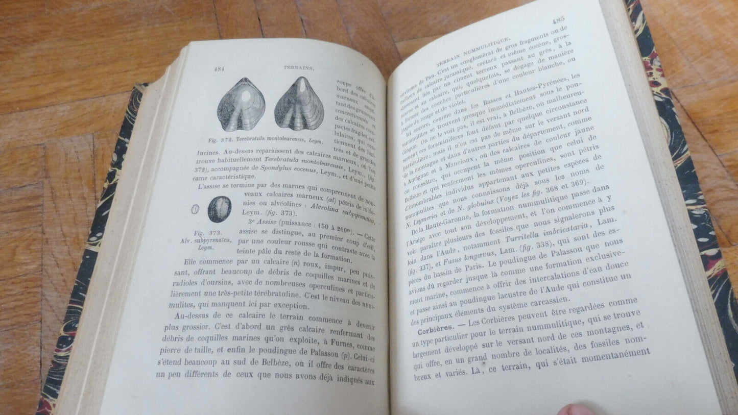 Eléments de géologie (A. Leymerie) 1878 PALEONTOLOGIE