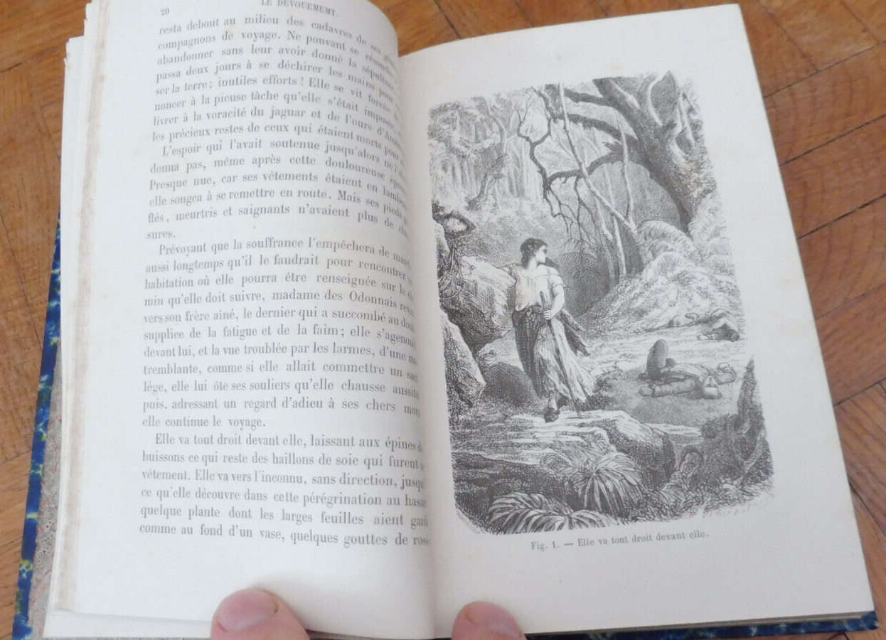 Le Dévouement (Michel Masson) 1874