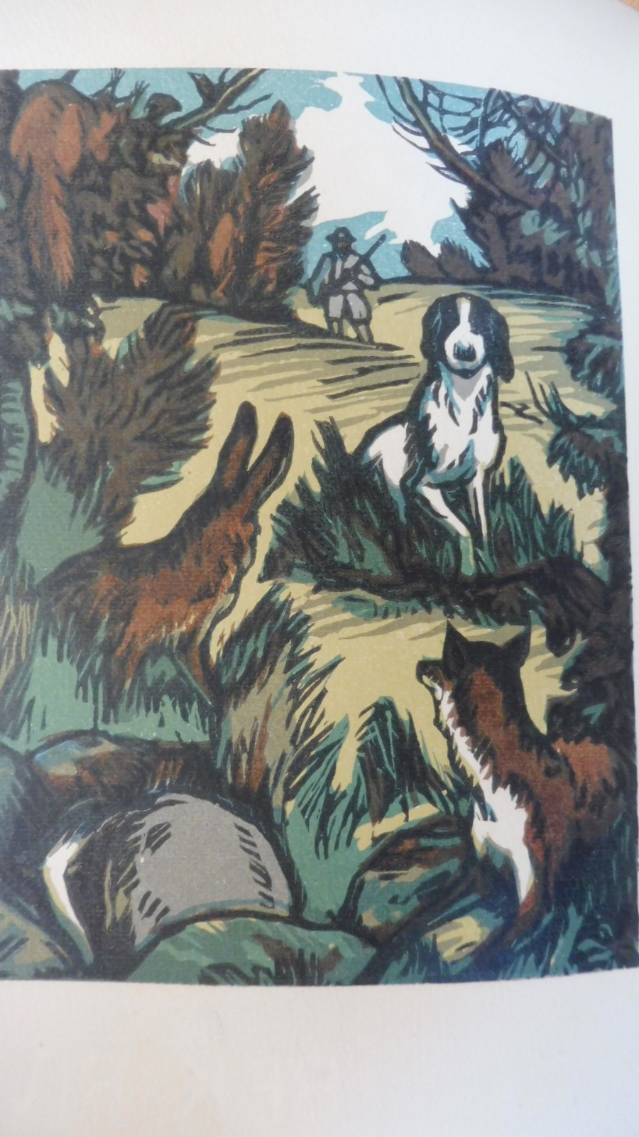 Le Roman de Miraut (Louis Pergaud) 1928 illus. Barthelemy VELIN MORNAY