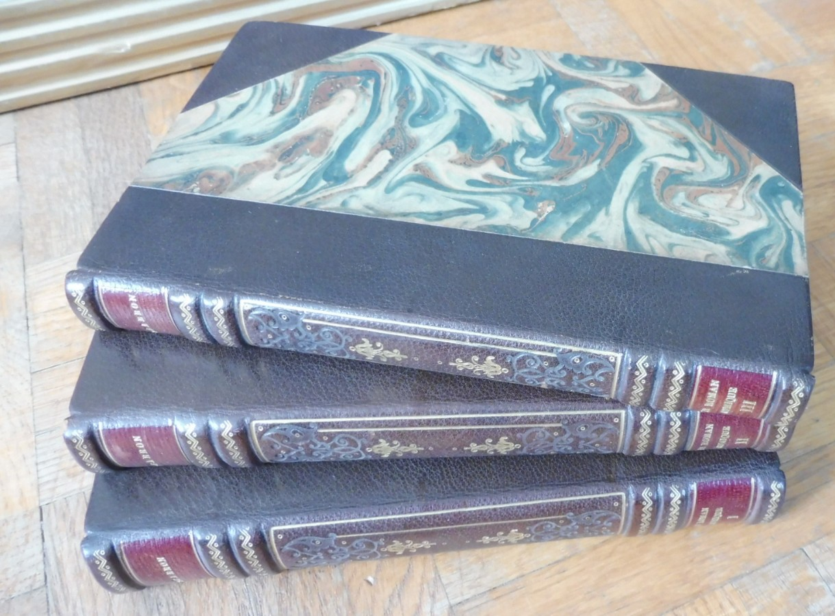 Le Roman comique (Scarron) 1880 3/3 illus. Flameng JOUAUST