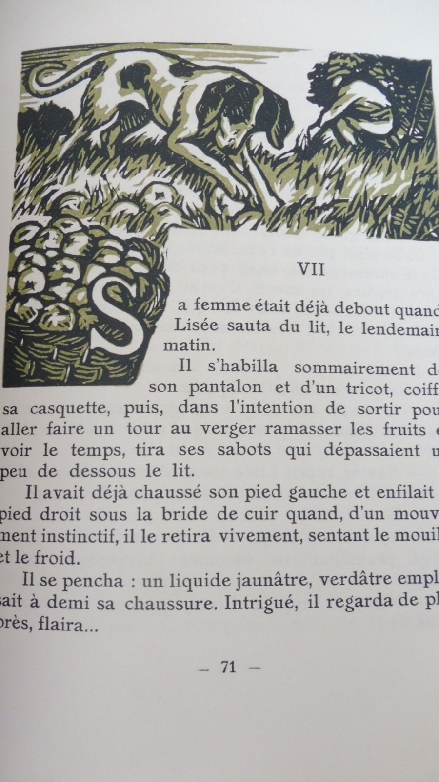 Le Roman de Miraut (Louis Pergaud) 1928 illus. Barthelemy VELIN MORNAY