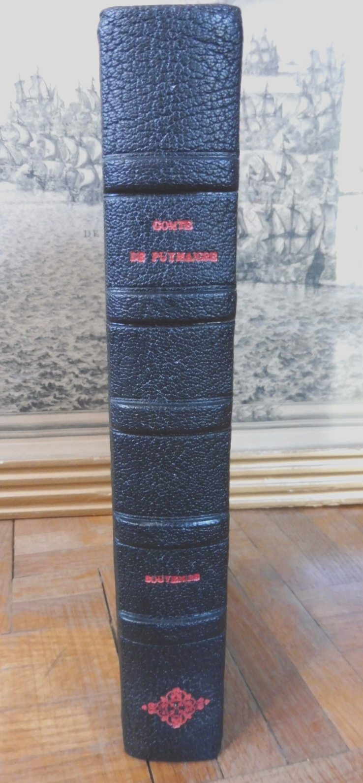Souvenirs sur l'émigration, l'Empire et la Restauration (A. De Pyumaigre) 1884