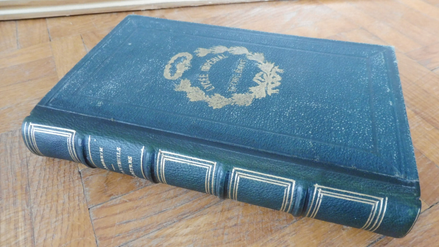Les Fauteuils illustres (Mme. d'Altenheym) 1860