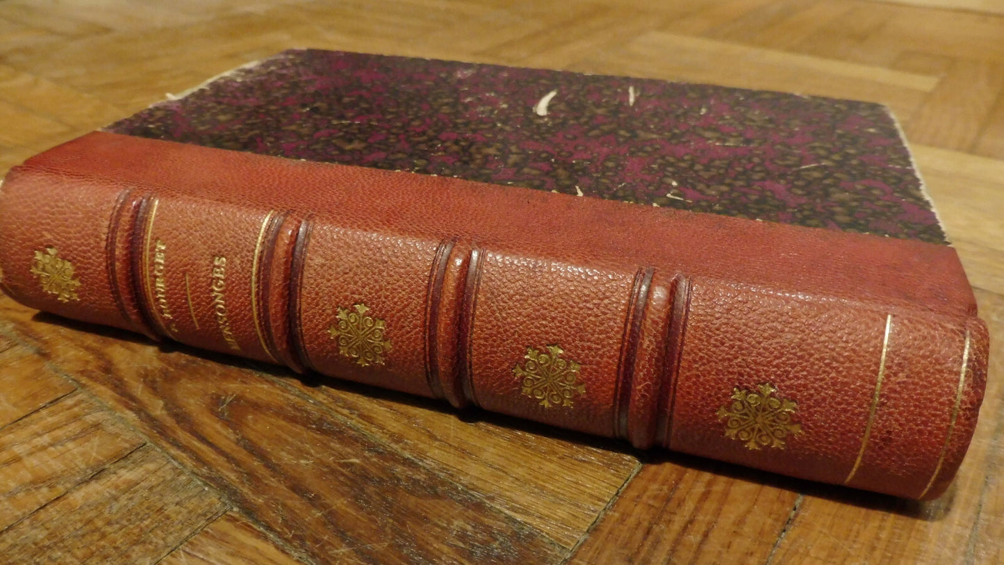 Mensonges (Paul Bourget) 1890