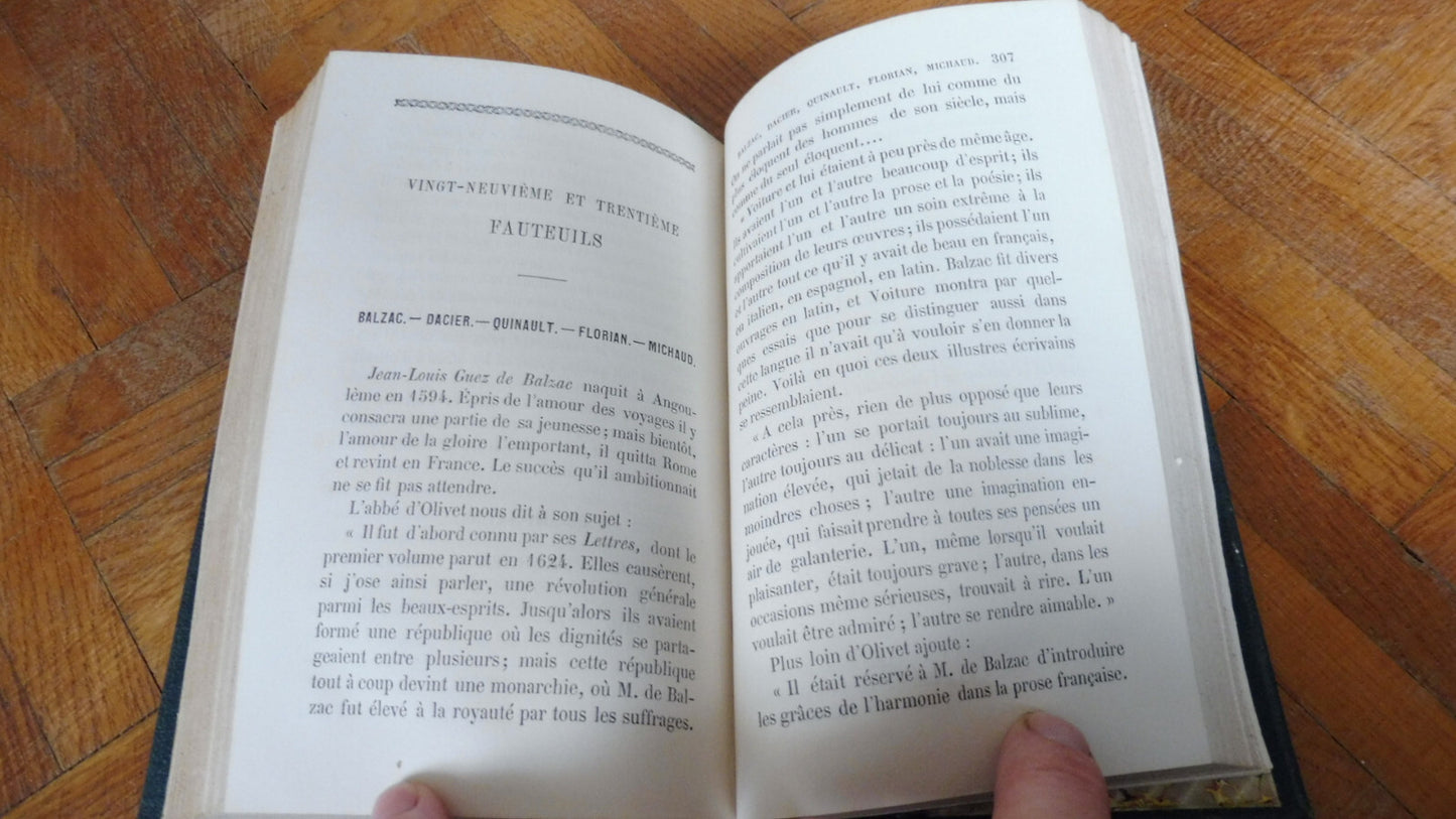 Les Fauteuils illustres (Mme. d'Altenheym) 1860