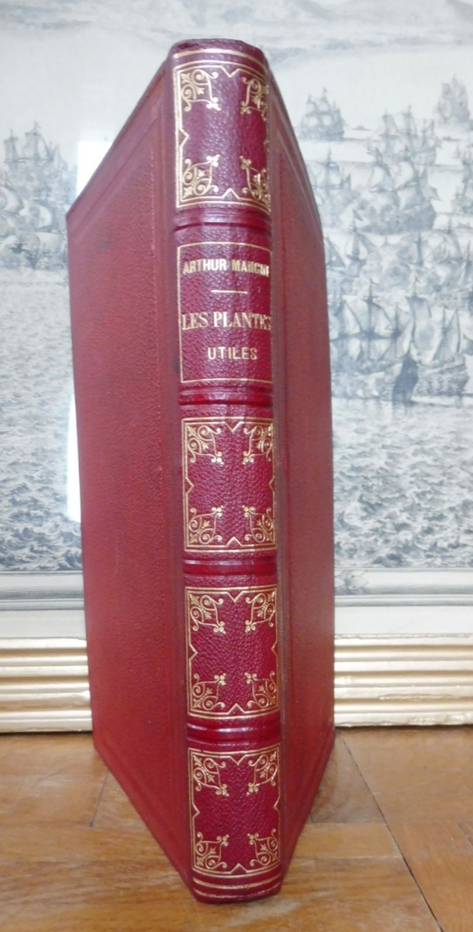 Les Plantes utiles (Arthur Mangin) 1874 illus. Yan'd'Argent et Freeman
