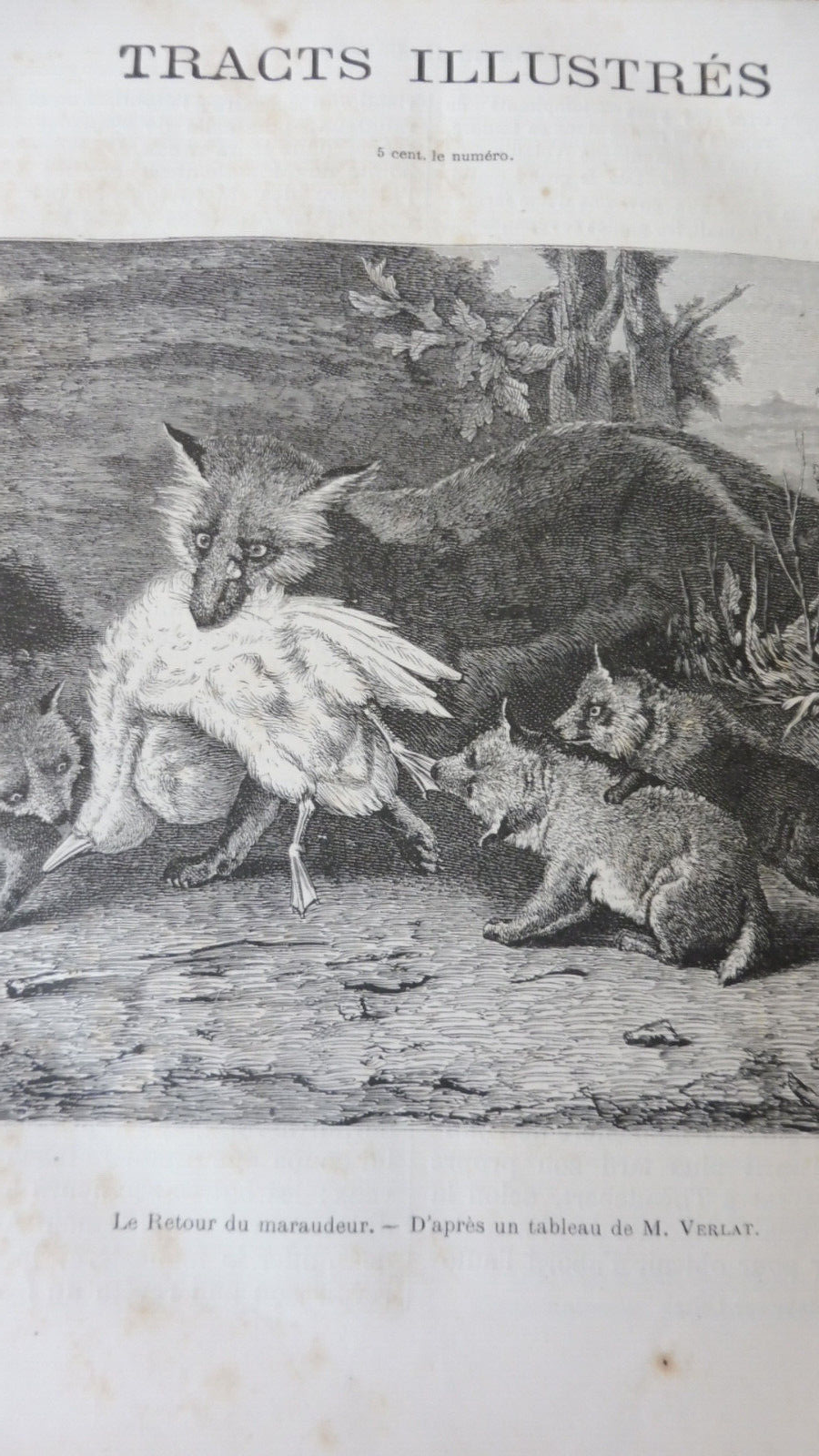 Tracts illustrés 1876-1878