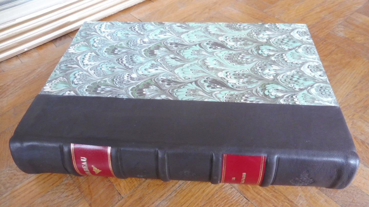 Le Calvaire (Octave Mirbeau) 1901 illus Jeanniot VELIN