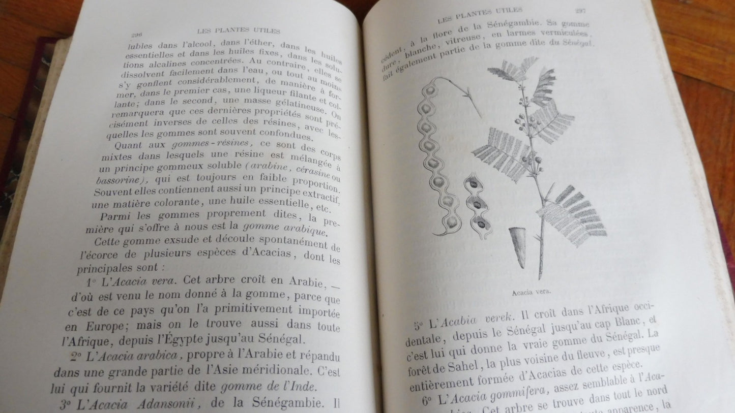 Les Plantes utiles (Arthur Mangin) 1874 illus. Yan'd'Argent et Freeman
