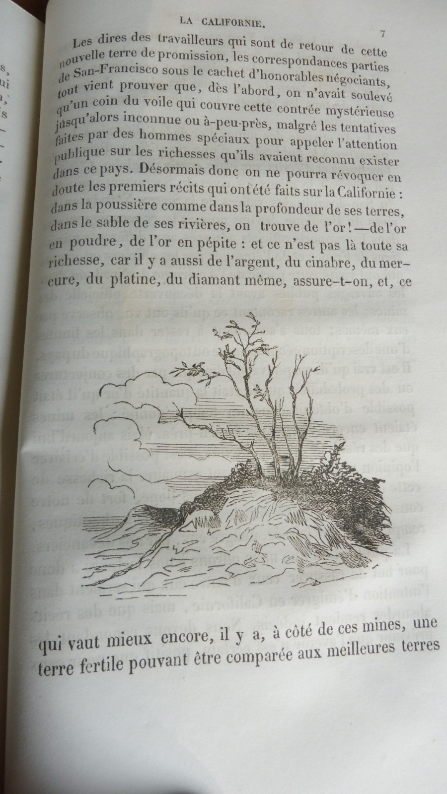 Mémoires de Juillet 1830 (De Foucauld, De Cougny et Trény) 1850-51 LEGITIMISME