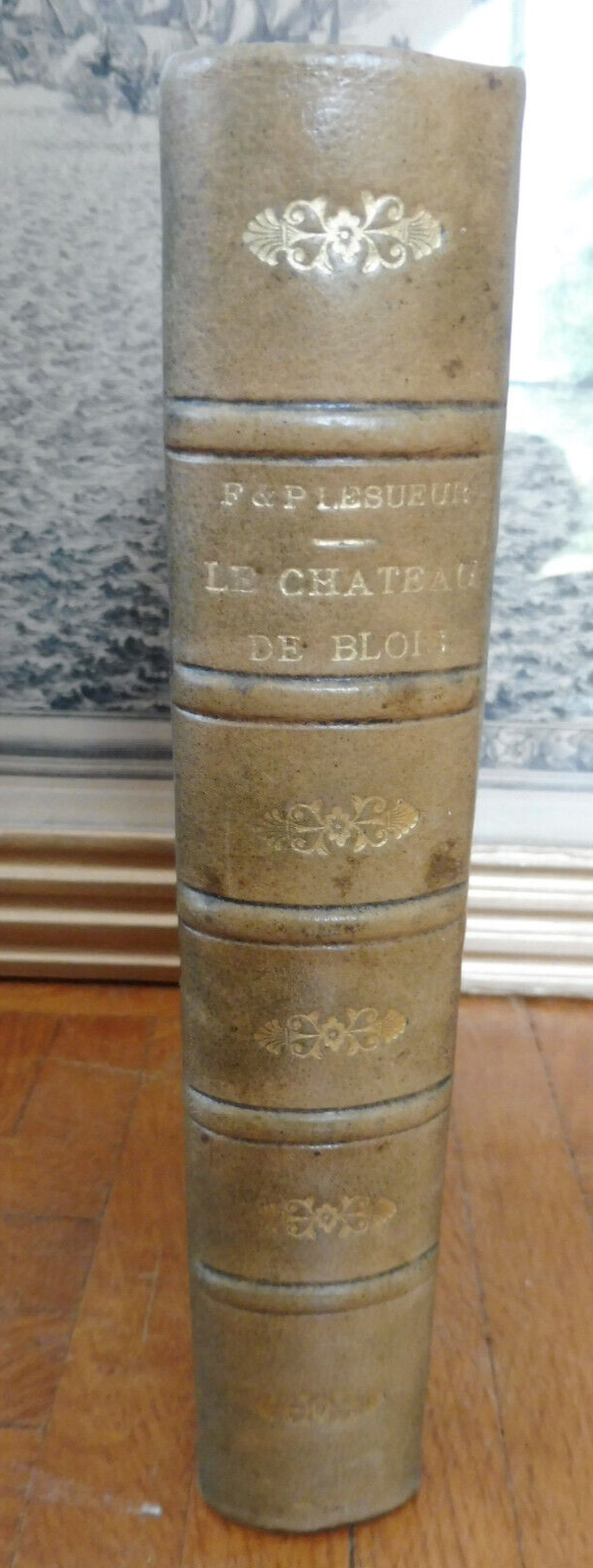 Le Château de Blois (Lesueur) 1914-21