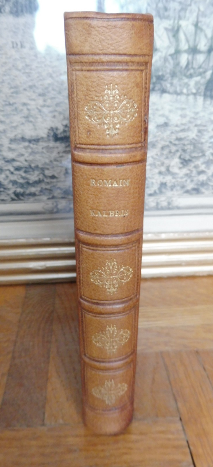 Romain Kalbris (Hector Malot) s.d.