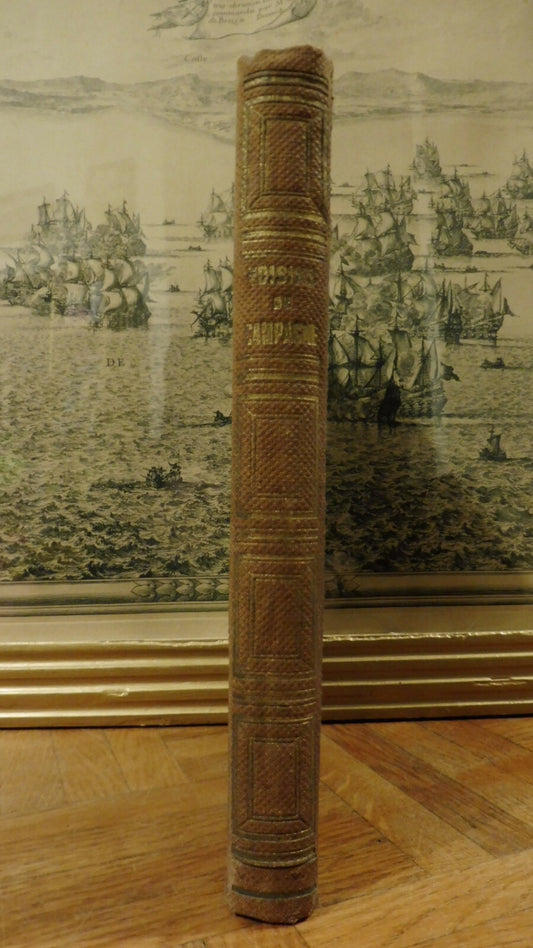 Les Voisins de campagne (Céline Fallet) 1865