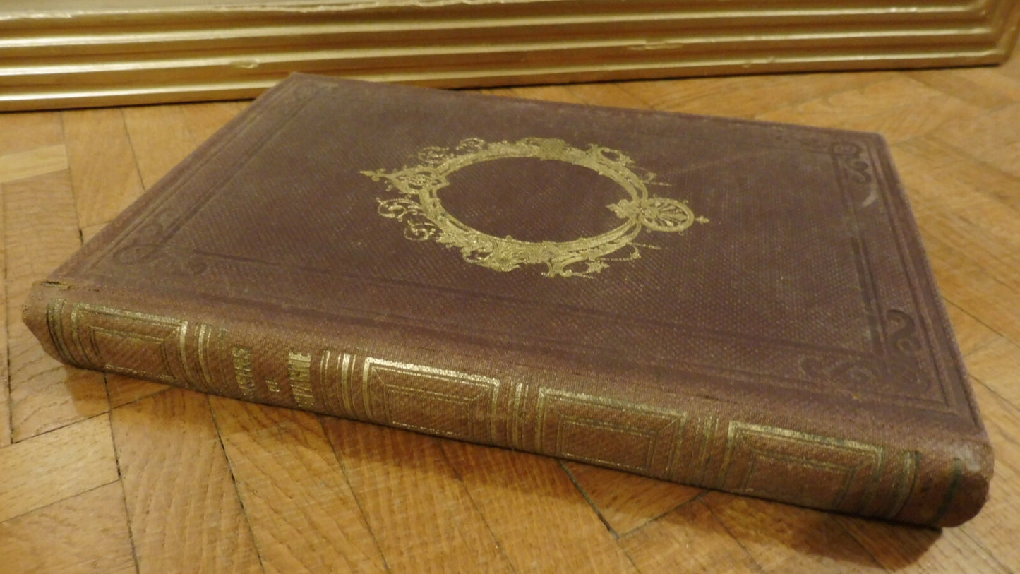 Les Voisins de campagne (Céline Fallet) 1865