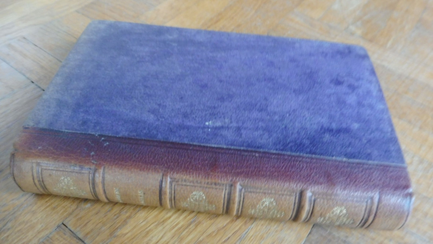 Romain Kalbris (Hector Malot) s.d.