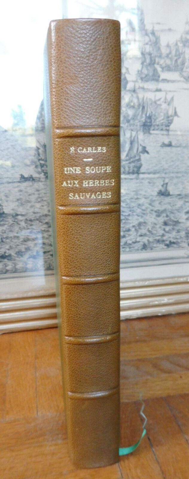 Une soupe aux herbes sauvages (Emilie Carles) 1978