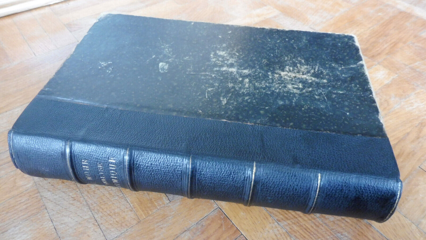Traité d'analyse chimique (F. Mohr) 1888