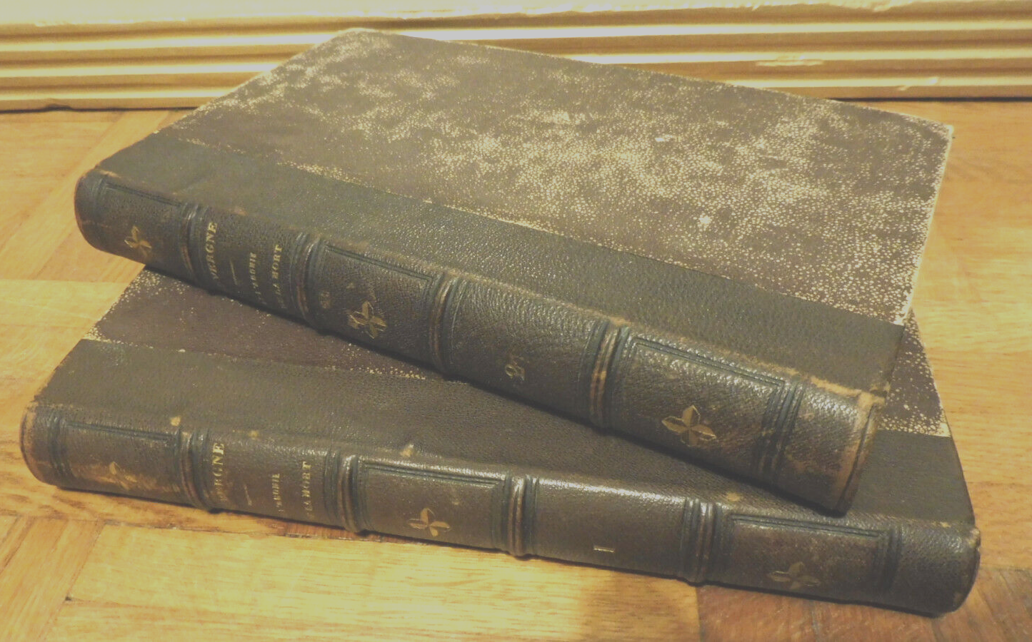 De l'agonie et de la mort (Lauvergne) 1842 2/2