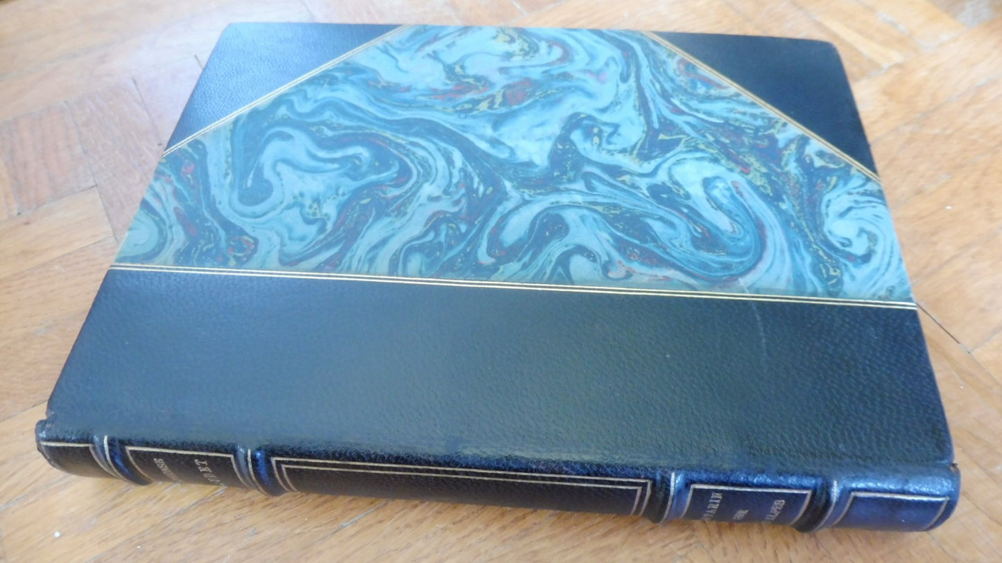 Tartarin sur les Alpes (Daudet) 1929 illus. Daniel-Girard RIVES