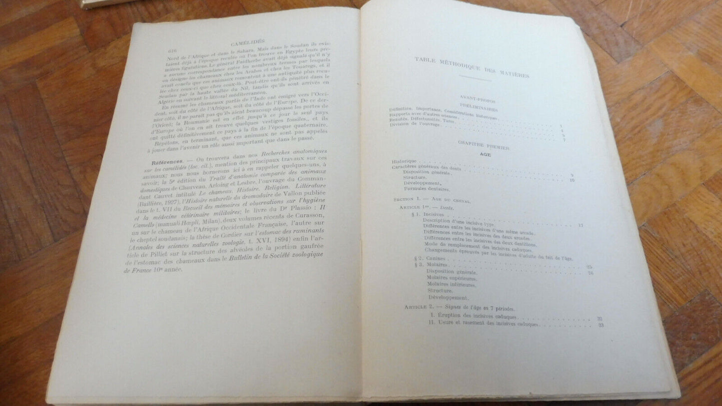 Précis d'extérieur du cheval - Lesbre - 1930 ZOOLOGIE