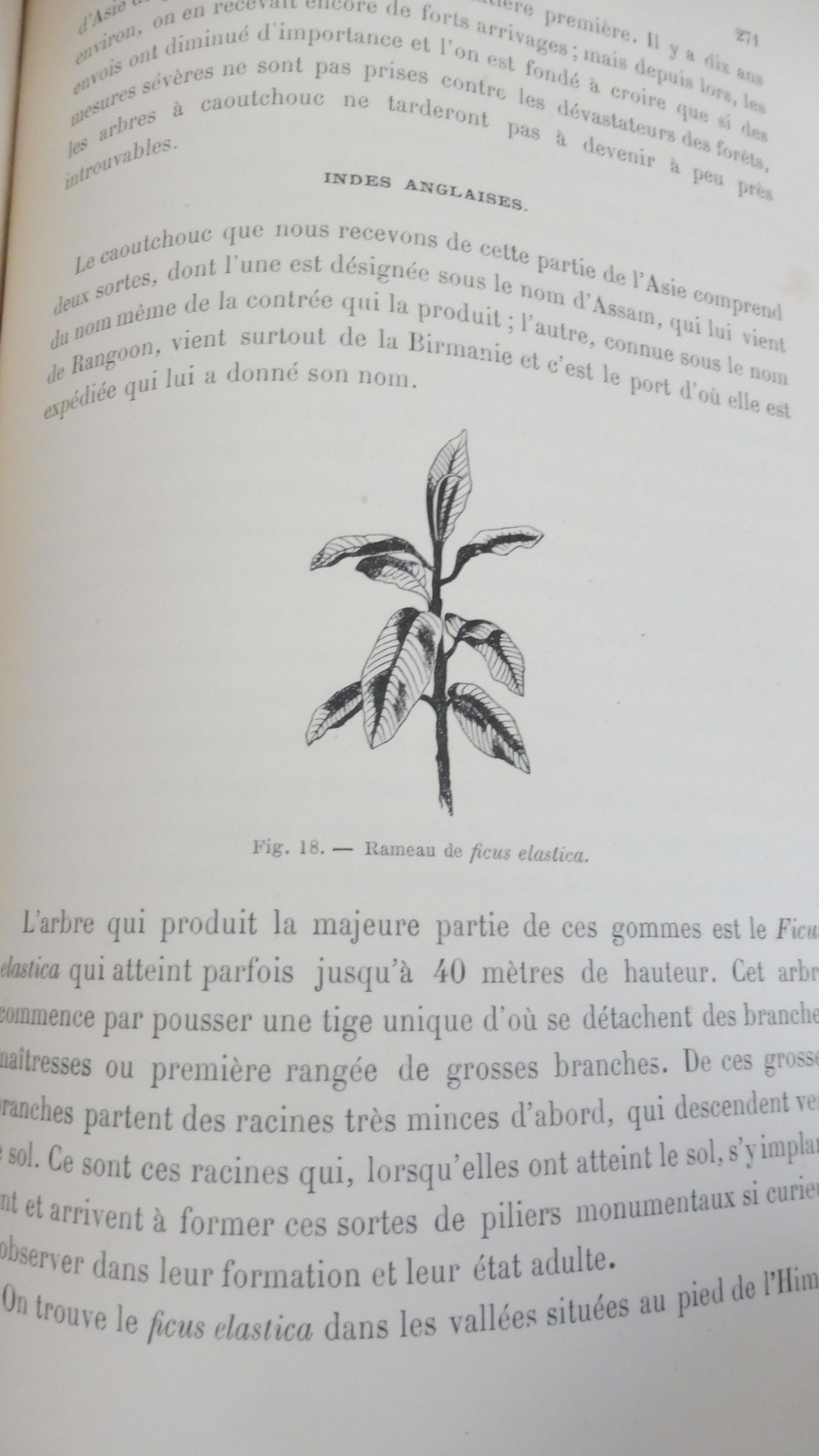 Le Caoutchouc et le gutta-percha (E. Chapel) 1892