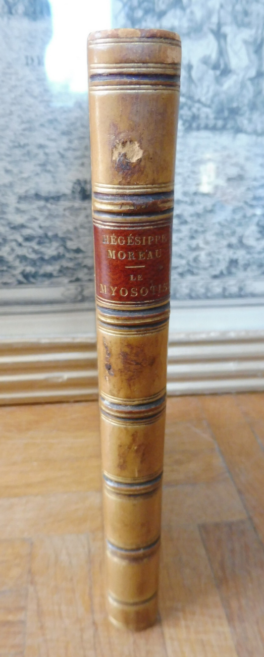Le Myosotis (Hégésippe Moreau) 1851