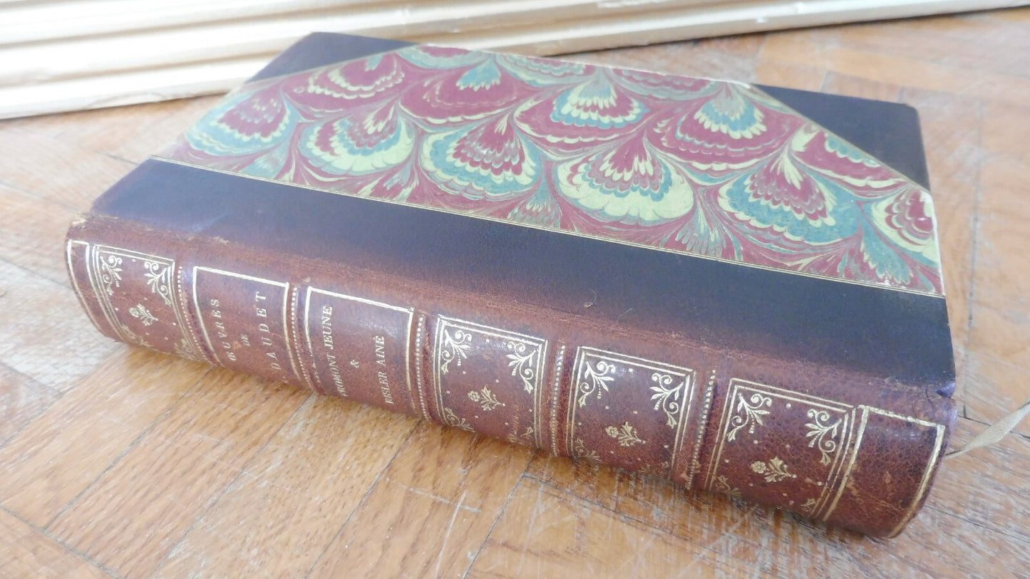 Fromont Jeune et Risler Aîné (Alphonse Daudet) 1884