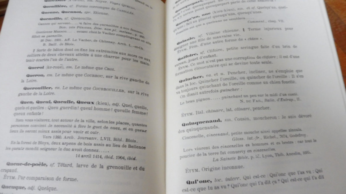 Glossaire du pays blaisois (Adrien Thibault) 1970 REPRINT