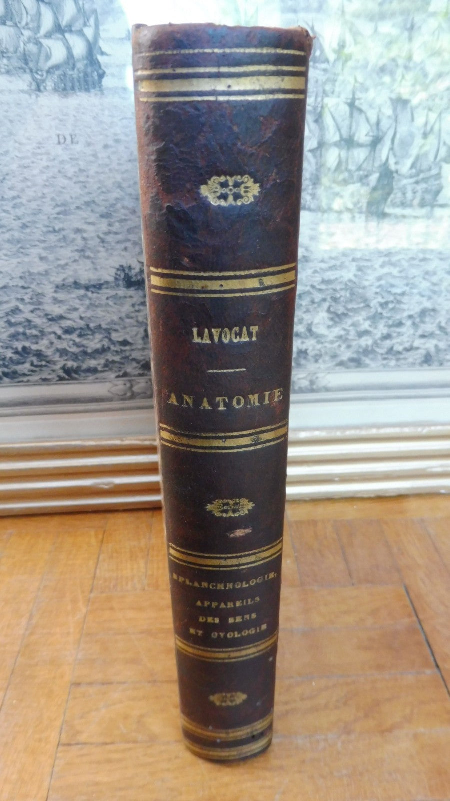 Anatomie des animaux domestiques. Splanchnologie et ovologie (Lavocat) 1847