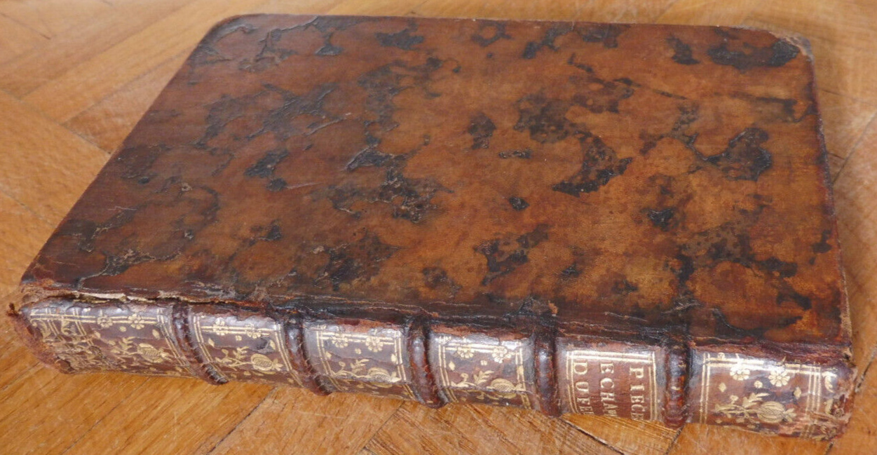 Pièces échapées du feu (Sallengre) 1717