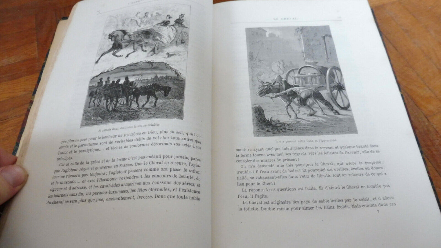L'Esprit des bêtes (Toussenel) s.d. Illus. Bayard ZOOLOGIE