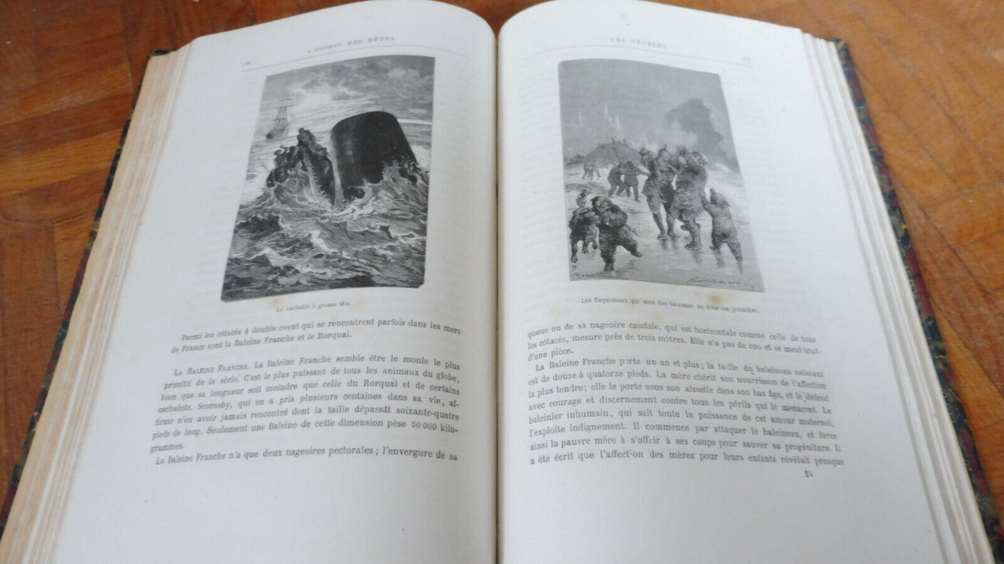 L'Esprit des bêtes (Toussenel) s.d. Illus. Bayard ZOOLOGIE